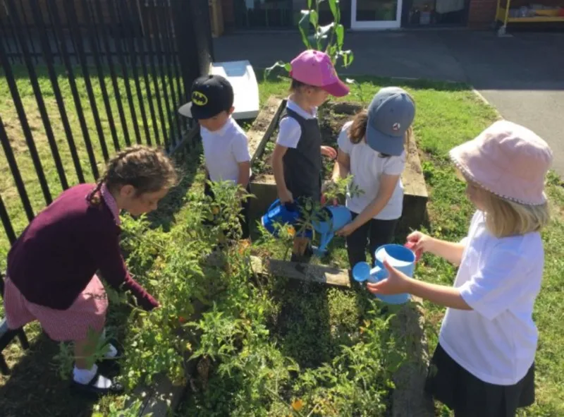 Gallery - created at 2024-09-23 11:53:17 - image 26