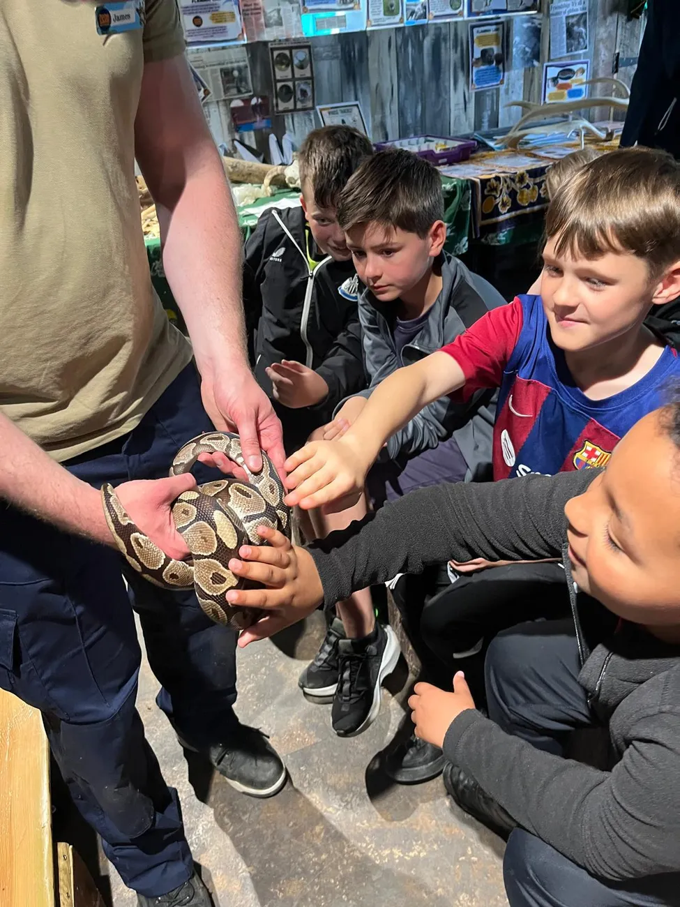 Gallery - created at 2024-06-06 15:03:55 - image 14