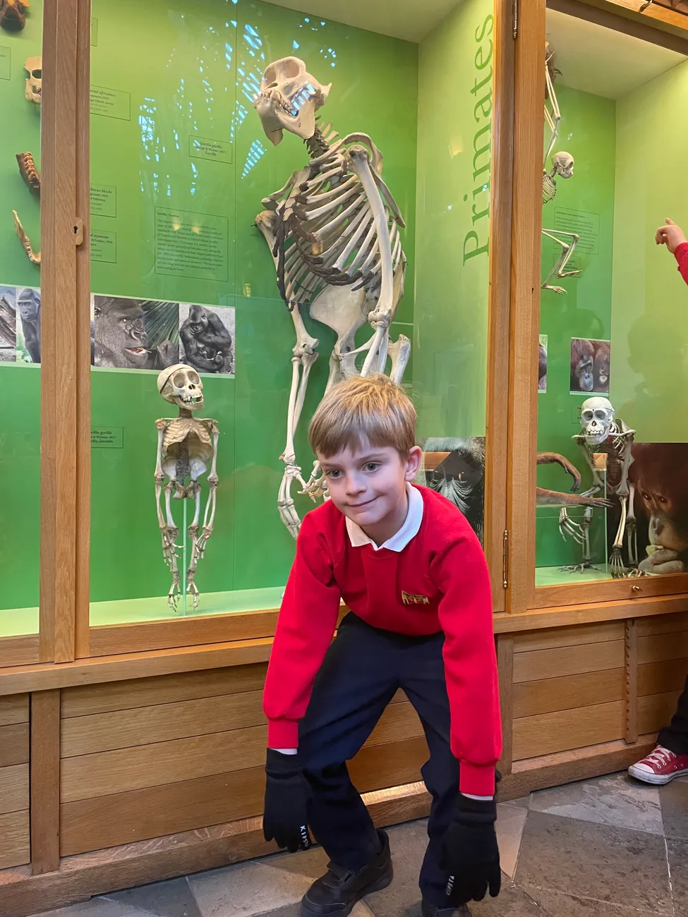 Gallery - created at 2024-02-24 14:03:51 - image 14