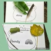 Forest School 32 - image 4 Forest School 32 - image 4