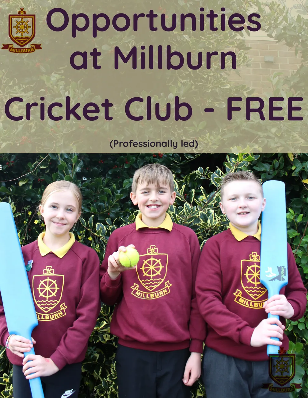 Gallery - created at 2024-06-11 11:49:37 - image 7