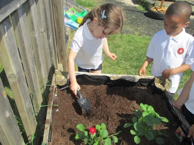 Planting - image 17