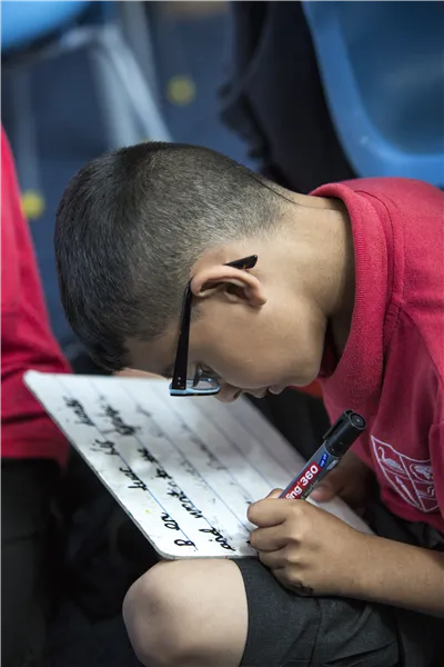 Gallery - created at 2019-11-29 10:47:27 - image 4 Gallery - created at 2019-11-29 10:47:27 - image 4