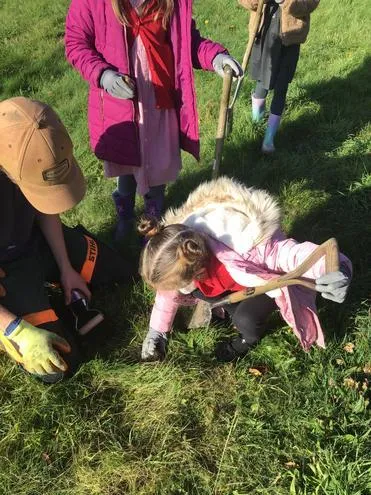 Gallery - created at 2024-12-05 13:44:18 - image 1 Gallery - created at 2024-12-05 13:44:18 - image 1