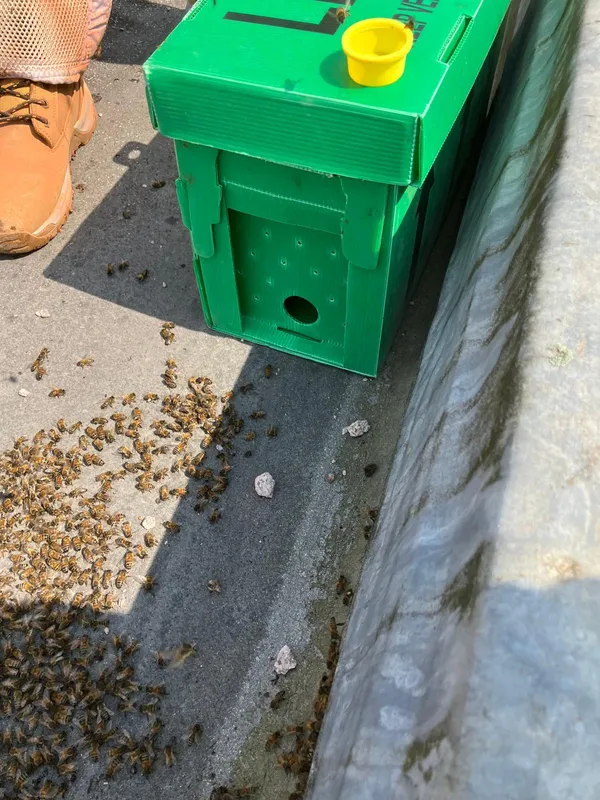 Gallery - created at 2025-06-06 09:25:32 - image 5