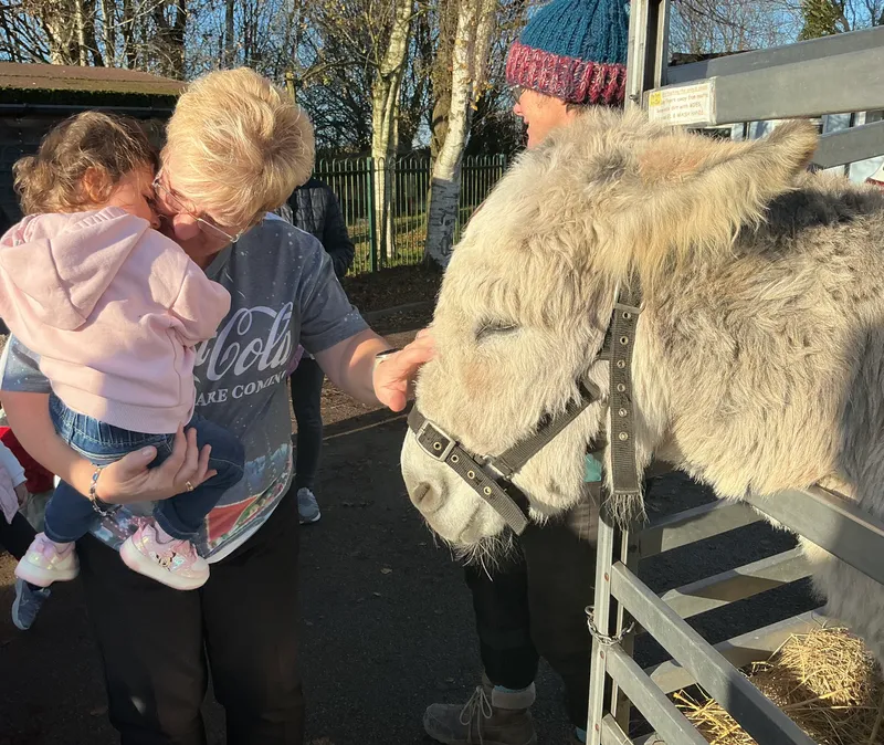 Explorers with Stella on Wheels  - image 25