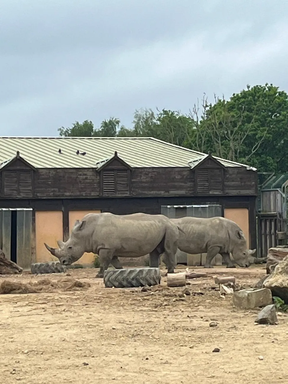 Gallery - created at 2024-06-06 15:03:55 - image 87