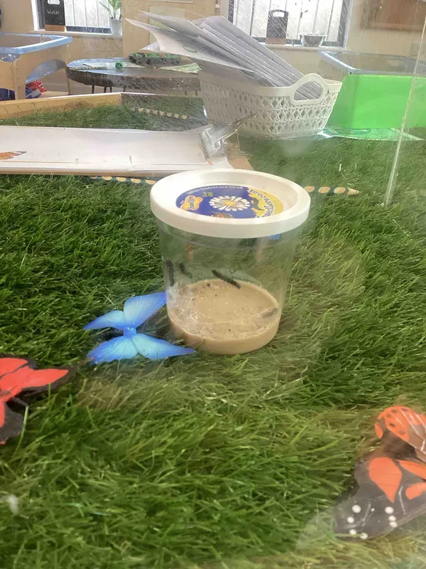 Gallery - created at 2024-06-10 15:20:47 - image 5