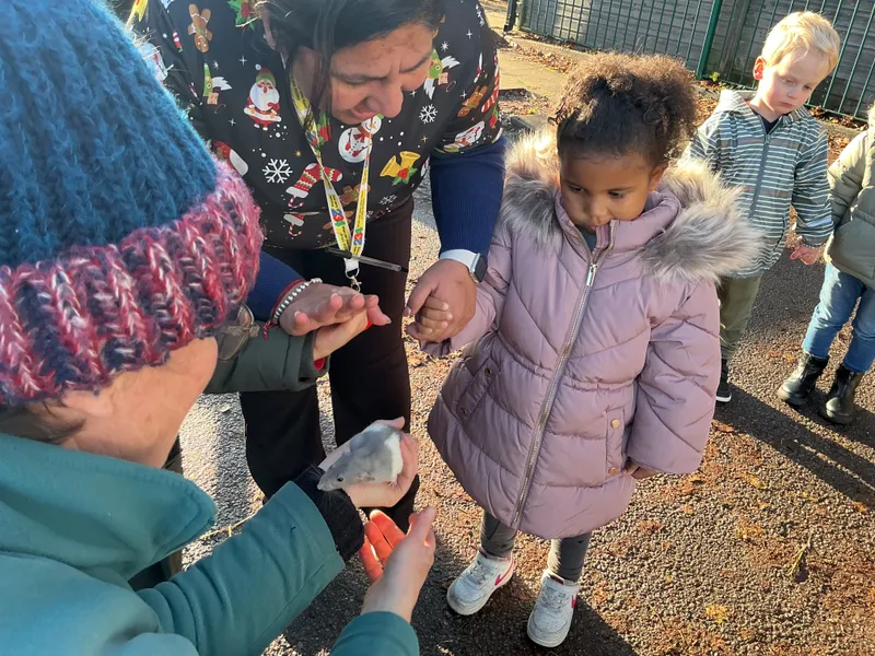 Stella farm on wheels Part 1 - image 45