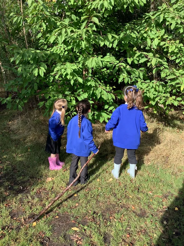 Gallery - created at 2025-09-17 14:10:36 - image 4 Gallery - created at 2025-09-17 14:10:36 - image 4