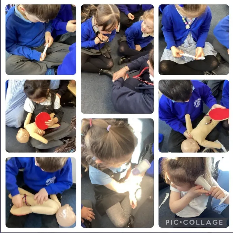 Gallery - created at 2024-05-15 08:02:49 - image 6