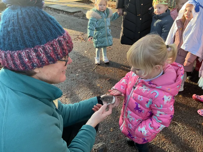 Stella farm on wheels Part 1 - image 31