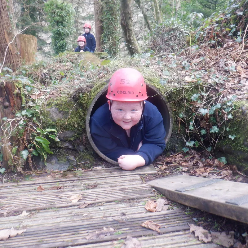 Gallery - created at 2025-02-27 19:57:56 - image 12