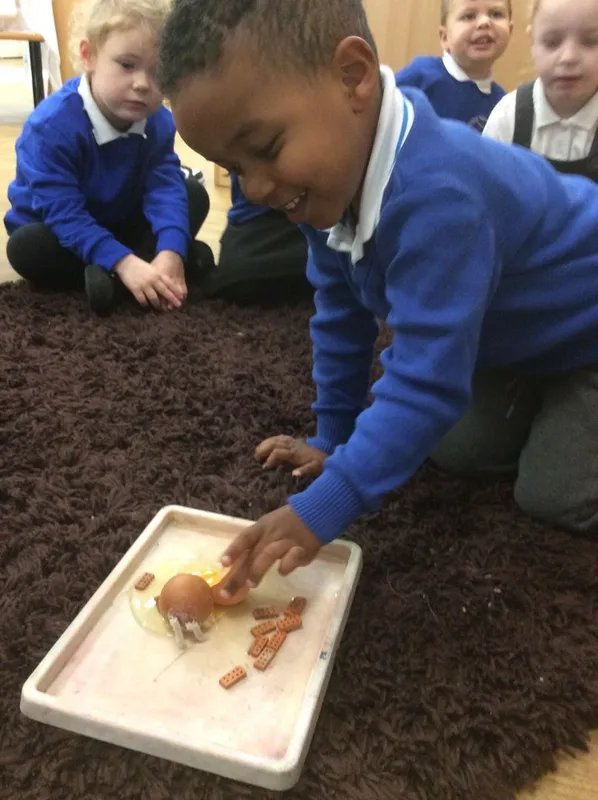 Gallery - created at 2024-01-25 09:31:05 - image 13 Gallery - created at 2024-01-25 09:31:05 - image 13