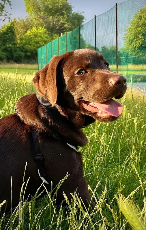 Gallery - created at 2021-06-30 13:57:57 - image 33