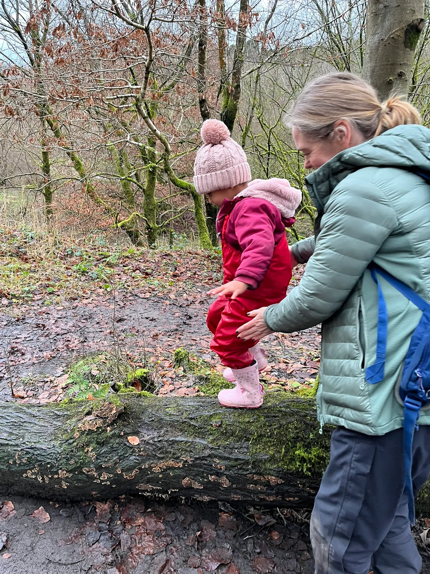 Healey Dell - image 9