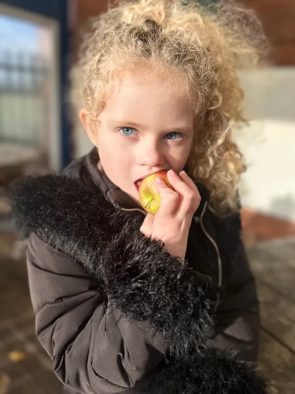 Tesco Fruit & Veg Scheme - image 16 Tesco Fruit & Veg Scheme - image 16