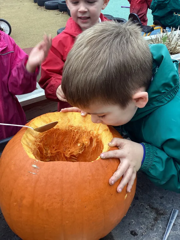 Gallery - created at 2025-10-24 20:23:10 - image 3 Gallery - created at 2025-10-24 20:23:10 - image 3