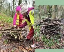 Forest School 76 - image 4 Forest School 76 - image 4