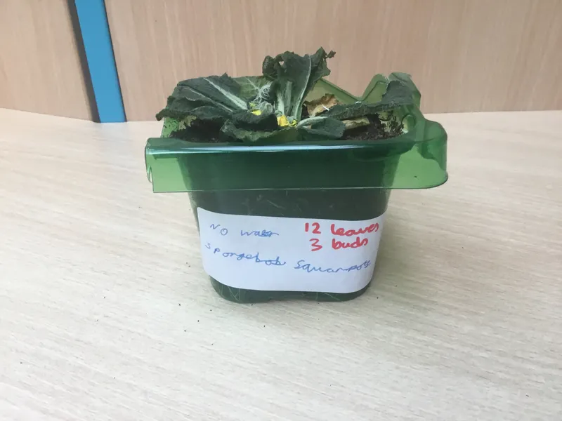 Gallery - created at 2021-04-16 07:58:15 - image 3 Gallery - created at 2021-04-16 07:58:15 - image 3