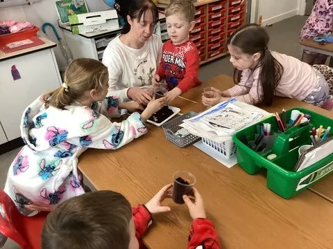 Science - Planting Beans