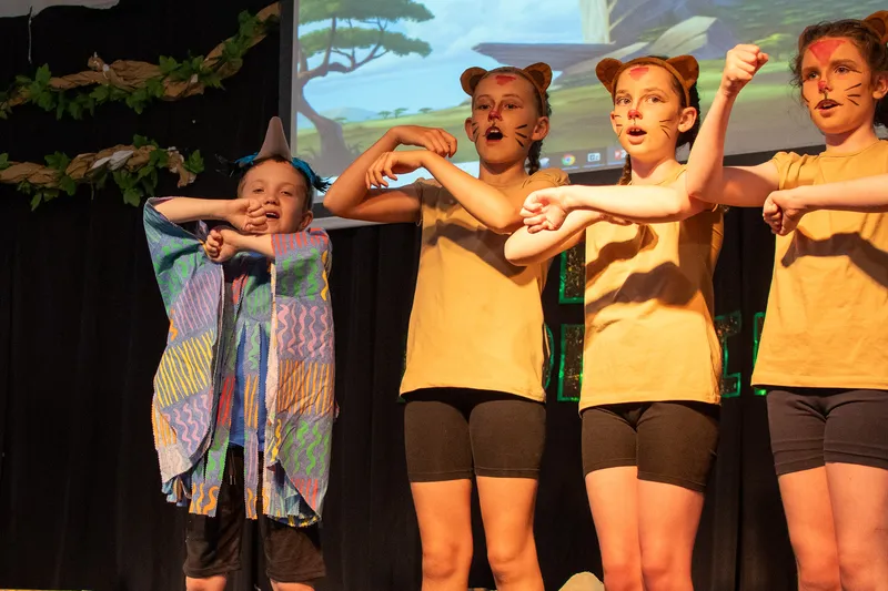 Lion King Jul 25 - image 1