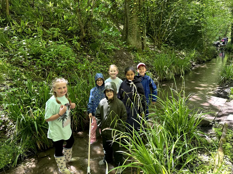 Drews Pond Woods - image 16