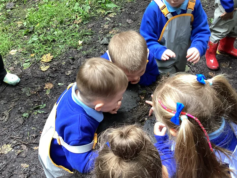 Nursery Fun in the Woods - image 8 Nursery Fun in the Woods - image 8