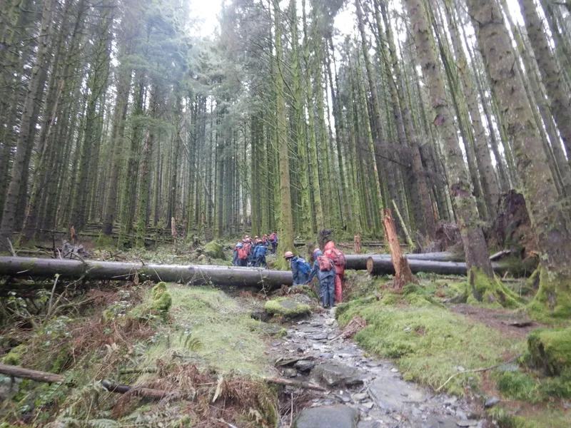 Gallery - created at 2024-02-28 19:37:21 - image 9 Gallery - created at 2024-02-28 19:37:21 - image 9