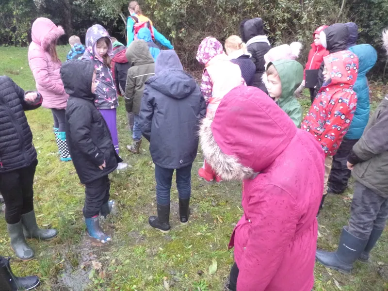 Gallery - created at 2019-12-16 15:12:33 - image 12