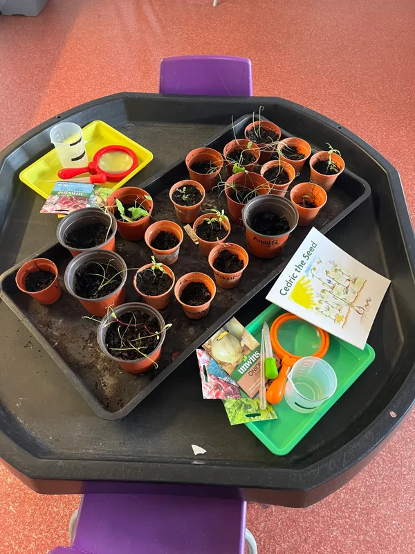 Gallery - created at 2024-04-11 12:57:39 - image 9 Gallery - created at 2024-04-11 12:57:39 - image 9