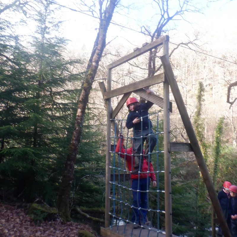 Gallery - created at 2025-02-27 19:57:56 - image 7