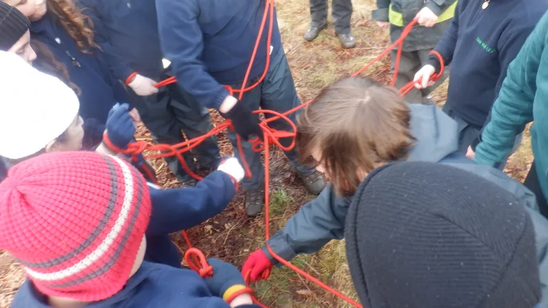 Gallery - created at 2025-02-25 21:38:38 - image 23