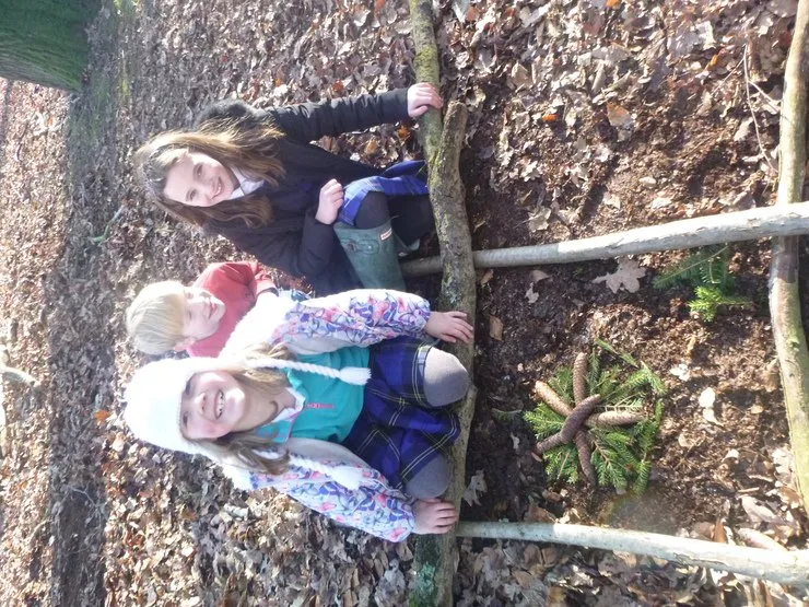 Gallery 7 - image 21