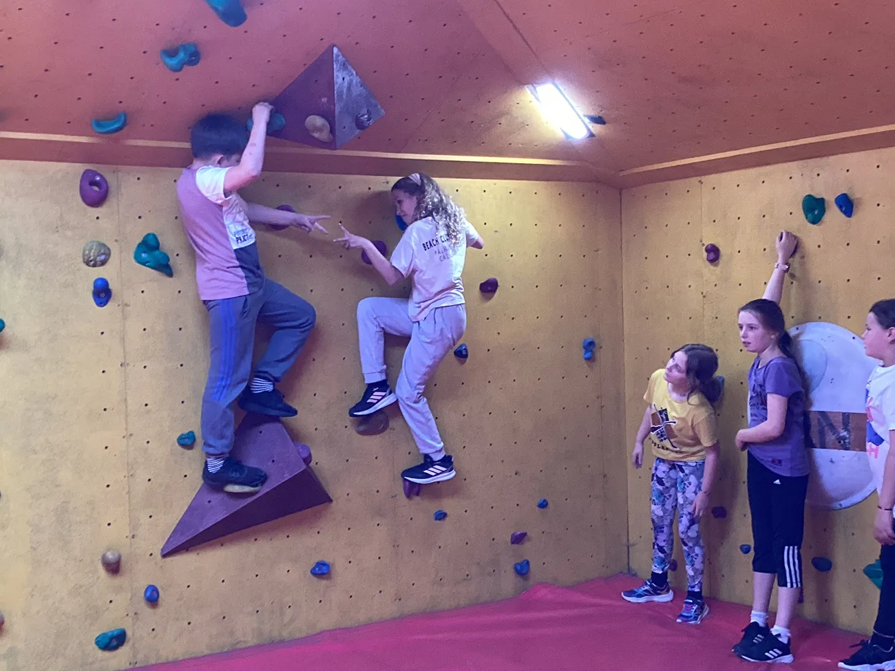 Gallery - created at 2024-09-19 18:43:06 - image 8 Gallery - created at 2024-09-19 18:43:06 - image 8