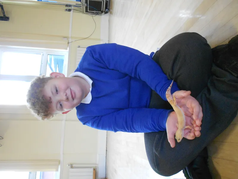 Y6 Reptile Rendezvous - image 38