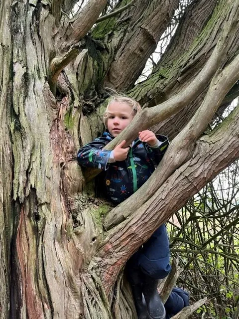 Gallery - created at 2022-11-08 12:34:18 - image 7