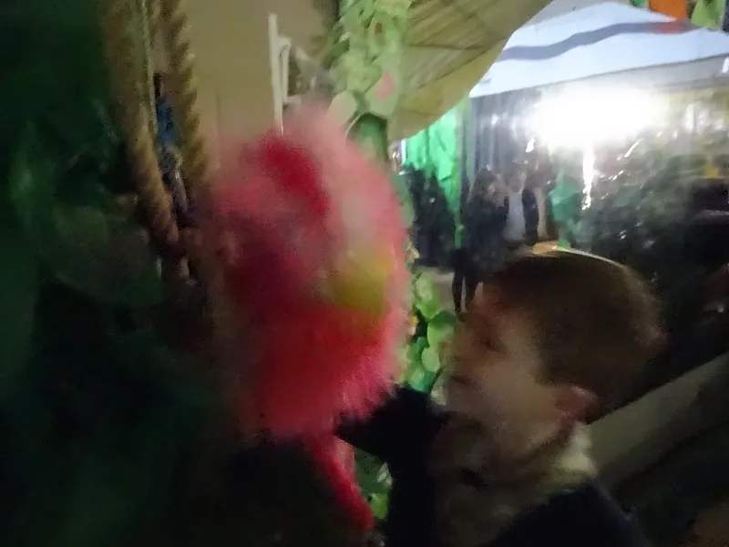 Gallery - created at 2019-01-14 14:26:39 - image 15 Gallery - created at 2019-01-14 14:26:39 - image 15