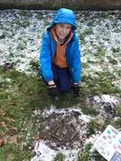 Forest School 83 - image 2 Forest School 83 - image 2