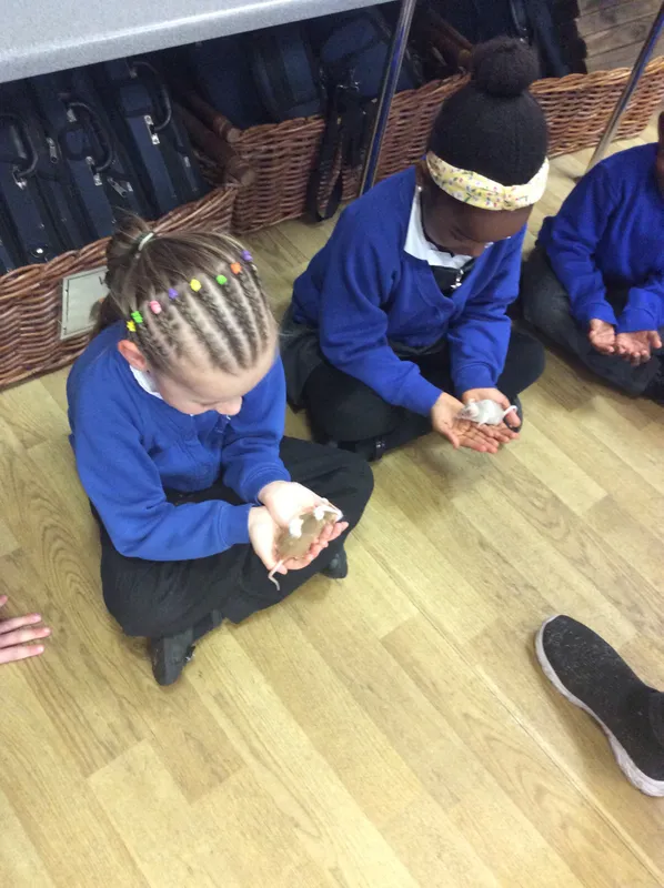 Gallery - created at 2024-03-05 13:52:56 - image 76 Gallery - created at 2024-03-05 13:52:56 - image 76