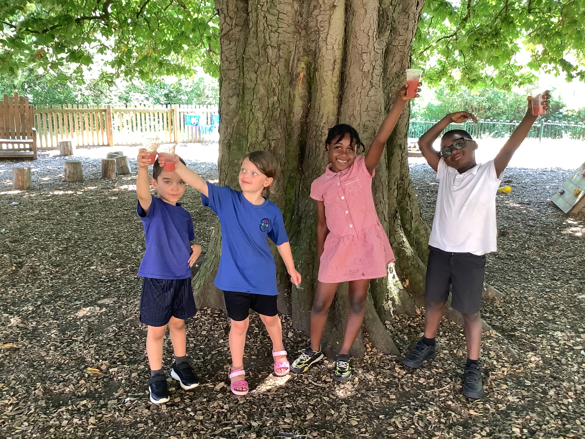 Super Smoothies in Year 1