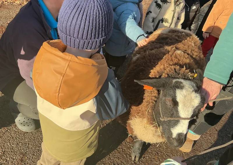 Stella ‘Farm on wheels’ part 2  - image 12