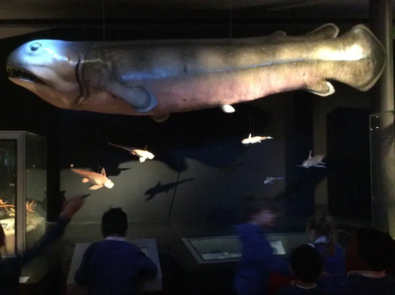 Gallery - created at 2024-02-09 11:53:37 - image 57