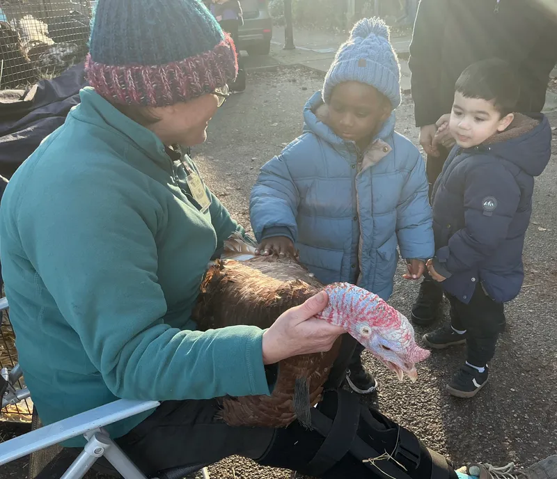 Explorers with Stella on Wheels  - image 32
