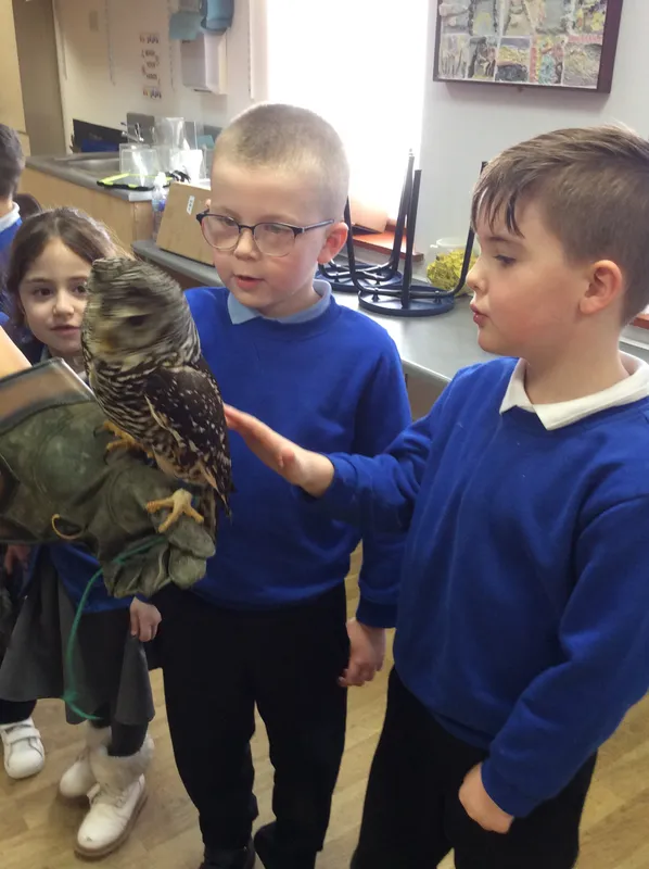 Gallery - created at 2024-02-26 17:15:57 - image 34 Gallery - created at 2024-02-26 17:15:57 - image 34