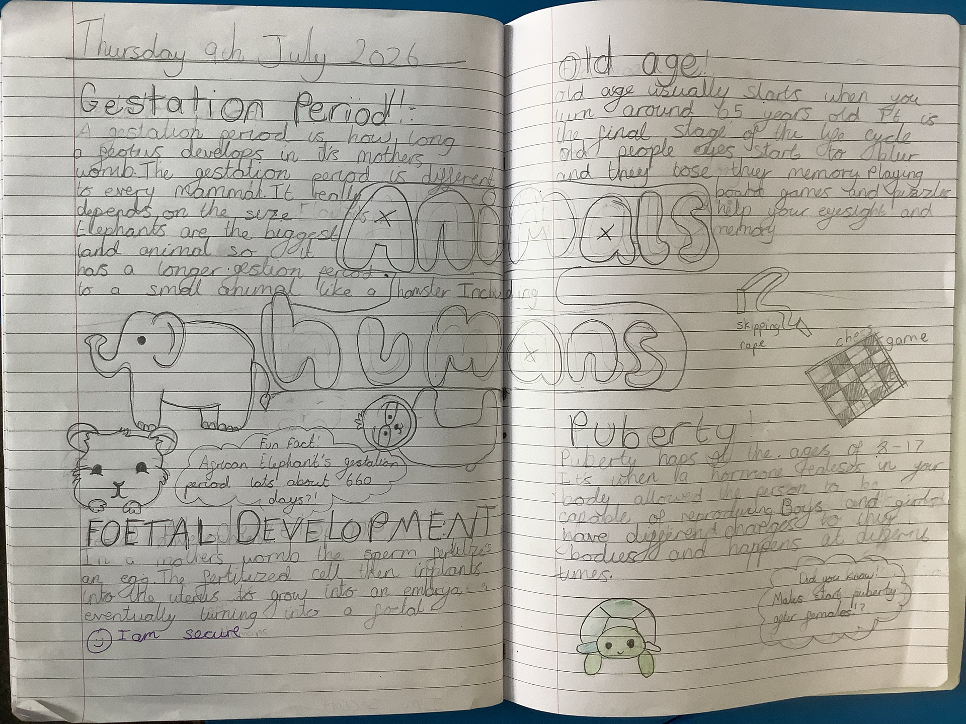 Year 5 - Science - Animals including humans