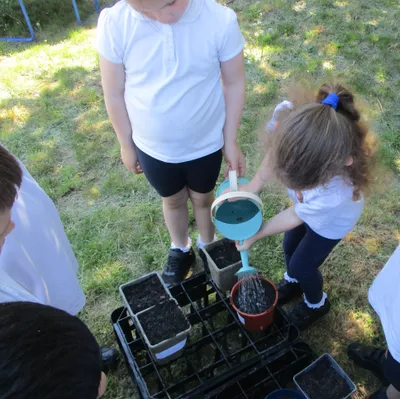 Planting - image 43