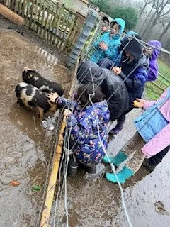 Day 2 more - image 10