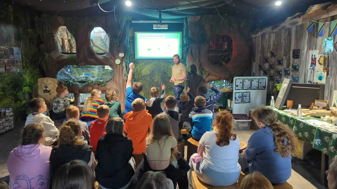 Gallery - created at 2024-06-06 15:03:55 - image 99