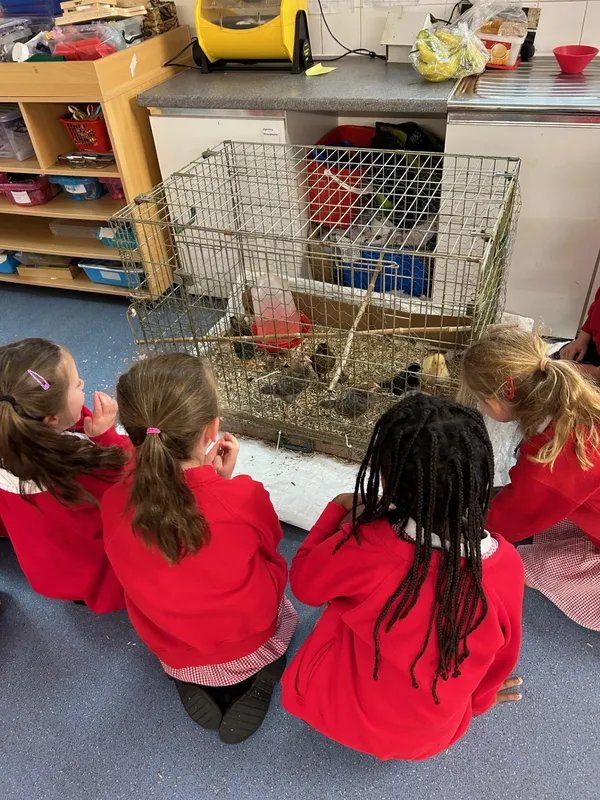 Gallery - created at 2025-06-06 11:32:24 - image 11